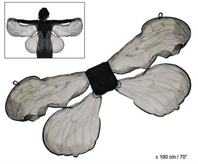 Black grey wings grijze zwarte vleugels