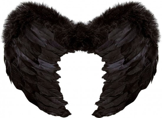 Zwarte veren vleugels black angel